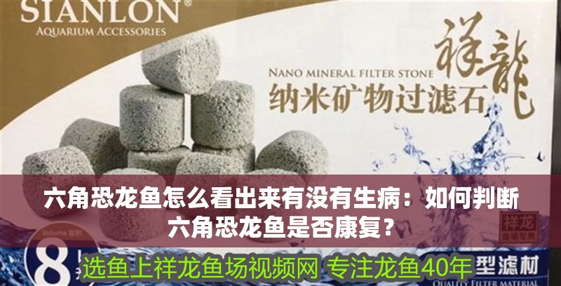 魚缸過濾器選購指南:自制魚缸過濾器魚缸上置過濾器對于養(yǎng)魚愛好者的必備知識 為什么都養(yǎng)金龍魚:養(yǎng)金龍魚需要一定的專業(yè)知識和技巧,金龍魚飼養(yǎng)技巧 龍魚百科 為什么都養(yǎng)金龍魚:養(yǎng)金龍魚需要一定的專業(yè)知識和技巧,金龍魚飼養(yǎng)技巧 為什么都養(yǎng)金龍魚:養(yǎng)金龍魚需要一定的專業(yè)知識和技巧,金龍魚飼養(yǎng)技巧 龍魚百科