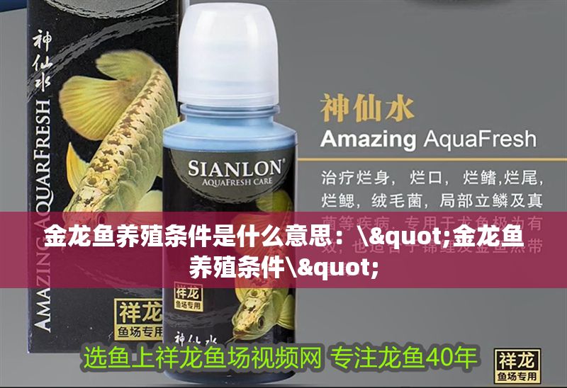 金龍魚養殖條件是什么意思：\"金龍魚養殖條件\"