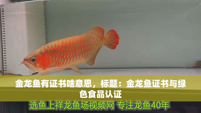 金龍魚有證書啥意思，標題：金龍魚證書與綠色食品認證
