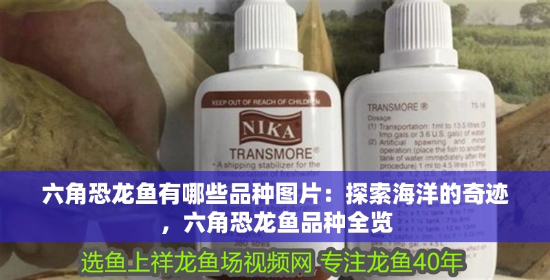 六角恐龍魚(yú)有哪些品種圖片：探索海洋的奇跡，六角恐龍魚(yú)品種全覽