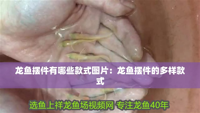 龍魚擺件有哪些款式圖片：龍魚擺件的多樣款式