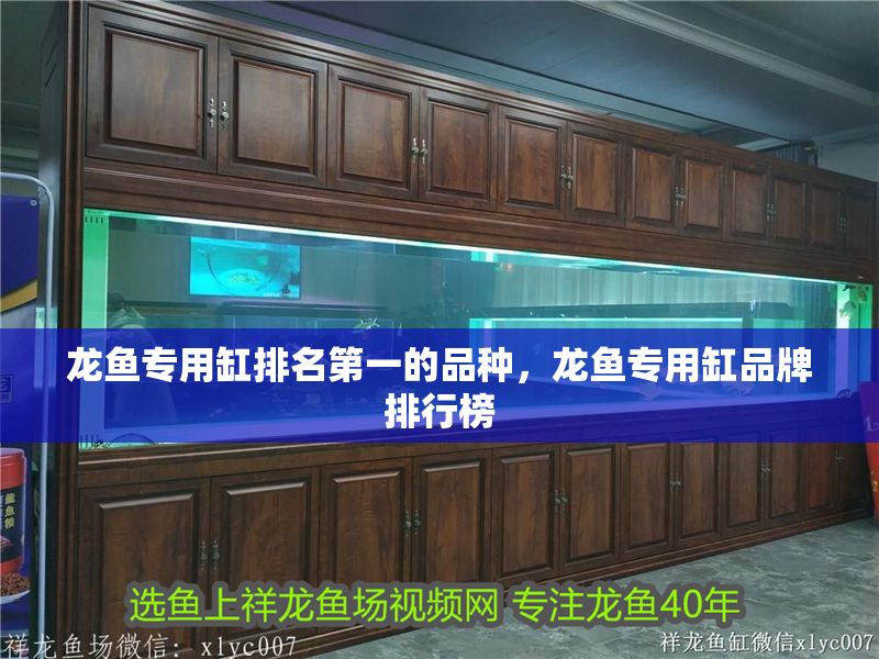 龍魚專用缸排名第一的品種，龍魚專用缸品牌排行榜