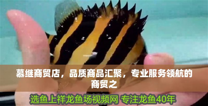 慕繼商貿店，品質商品匯聚，專業服務領航的商貿之