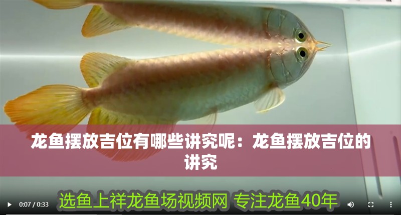 龍魚擺放吉位有哪些講究呢：龍魚擺放吉位的講究 龍魚擺放吉位有哪些講究呢：龍魚擺放吉位的講究 水族問答
