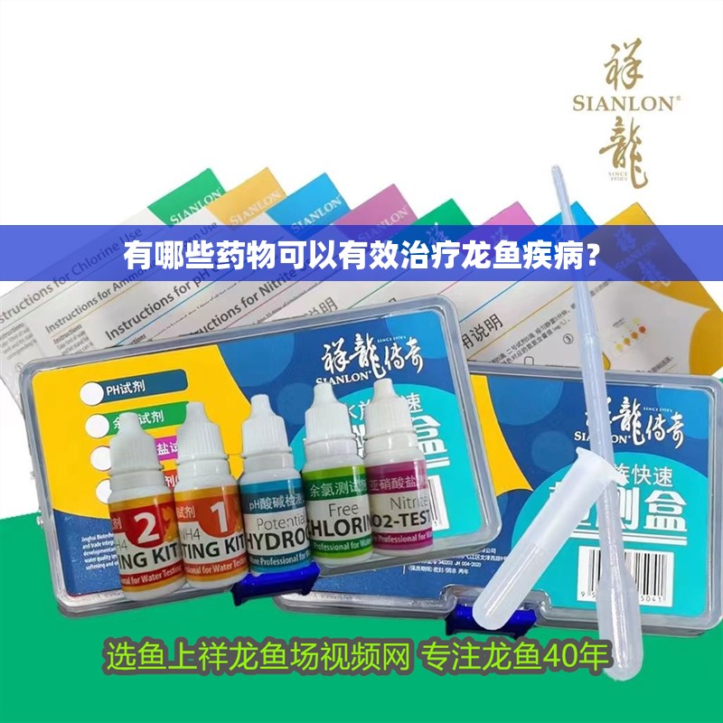 有哪些藥物可以有效治療龍魚疾病？