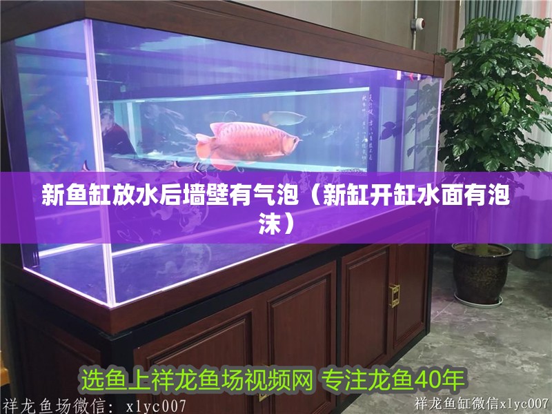 新魚缸放水后墻壁有氣泡（新缸開缸水面有泡沫）