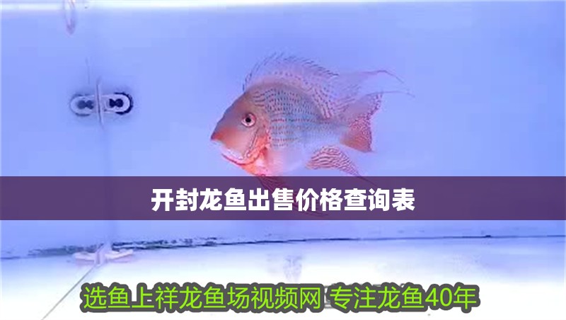 開封龍魚出售價格查詢表