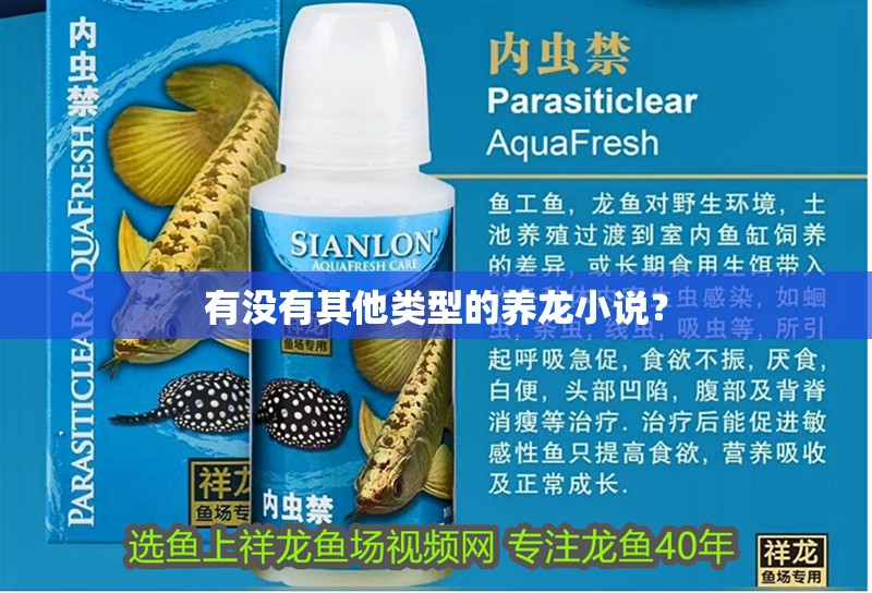 有沒有其他類型的養(yǎng)龍小說？