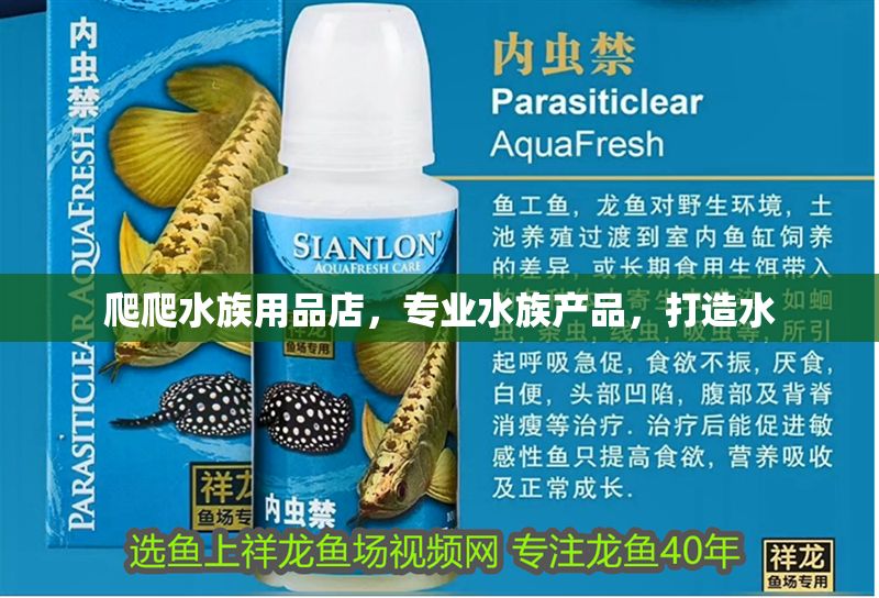 爬爬水族用品店，專業(yè)水族產(chǎn)品，打造水