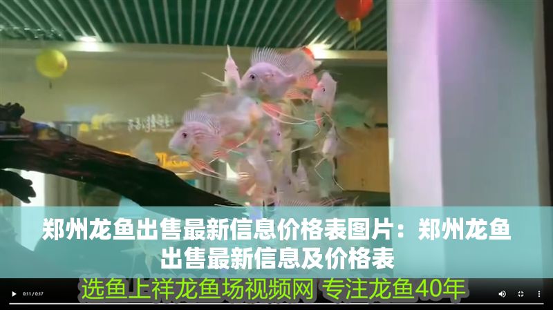 鄭州龍魚出售最新信息價(jià)格表圖片：鄭州龍魚出售最新信息及價(jià)格表