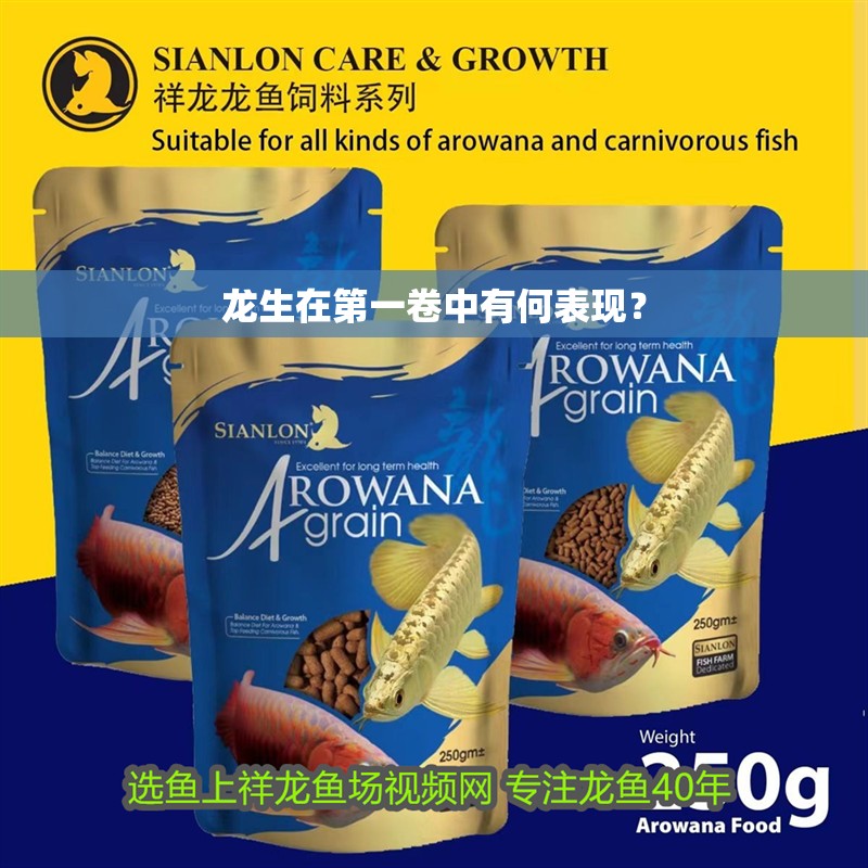 龍生在第一卷中有何表現(xiàn)？