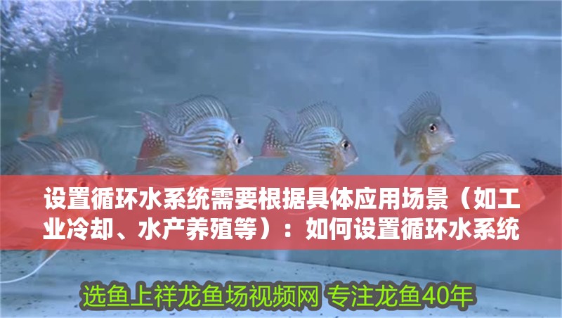 設置循環水系統需要根據具體應用場景（如工業冷卻、水產養殖等）：如何設置循環水系統