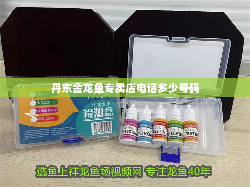 丹東金龍魚專賣店電話多少號碼