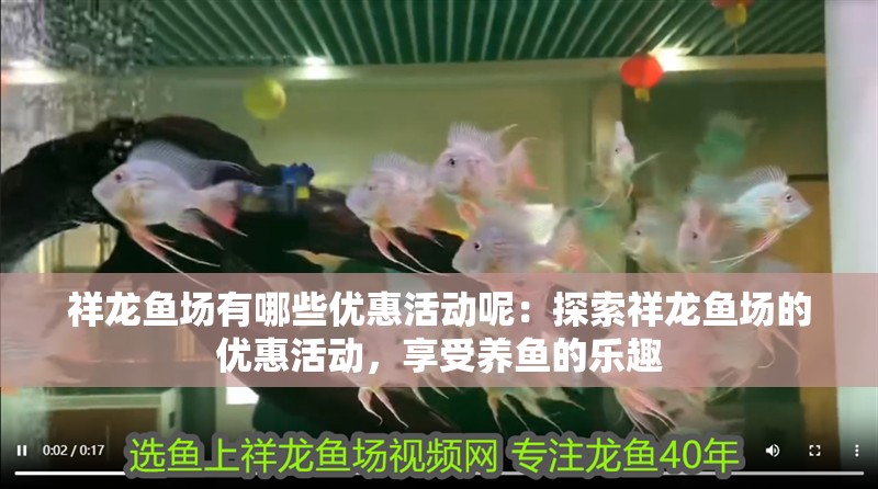 祥龍魚場有哪些優(yōu)惠活動(dòng)呢：探索祥龍魚場的優(yōu)惠活動(dòng)，享受養(yǎng)魚的樂趣
