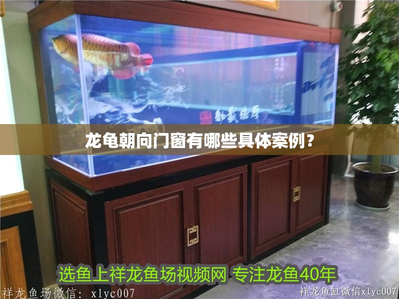 龍龜朝向門窗有哪些具體案例？