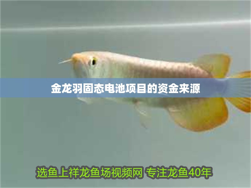 金龍羽固態(tài)電池項(xiàng)目的資金來源