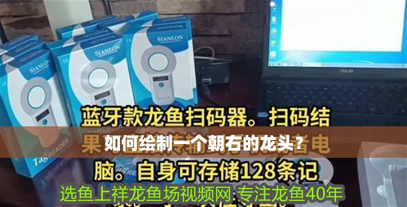 如何繪制一個朝右的龍頭？