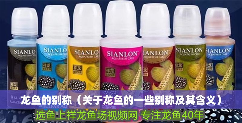 龍魚的別稱（關于龍魚的一些別稱及其含義）