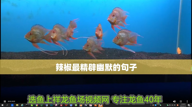 辣椒最精辟幽默的句子