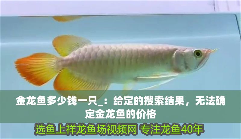 金龍魚(yú)多少錢(qián)一只_：給定的搜索結(jié)果，無(wú)法確定金龍魚(yú)的價(jià)格