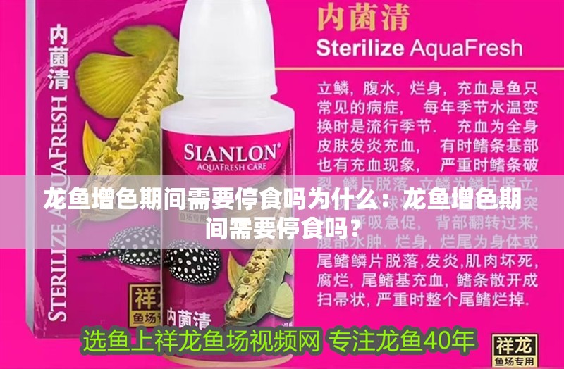 龍魚增色期間需要停食嗎為什么：龍魚增色期間需要停食嗎？