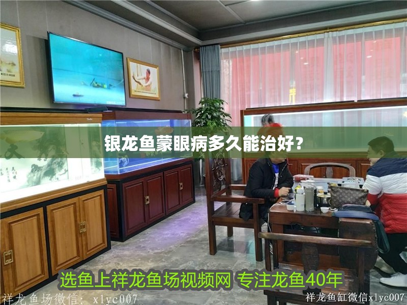 銀龍魚蒙眼病多久能治好？