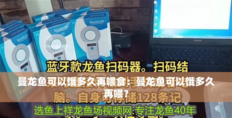 曼龍魚可以餓多久再喂食：曼龍魚可以餓多久再喂？