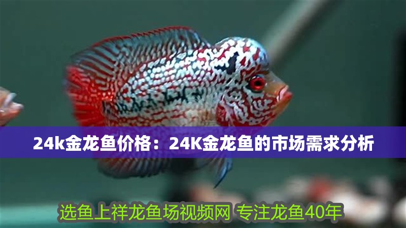 24k金龍魚價格：24K金龍魚的市場需求分析