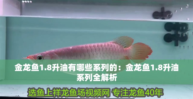金龍魚1.8升油有哪些系列的：金龍魚1.8升油系列全解析