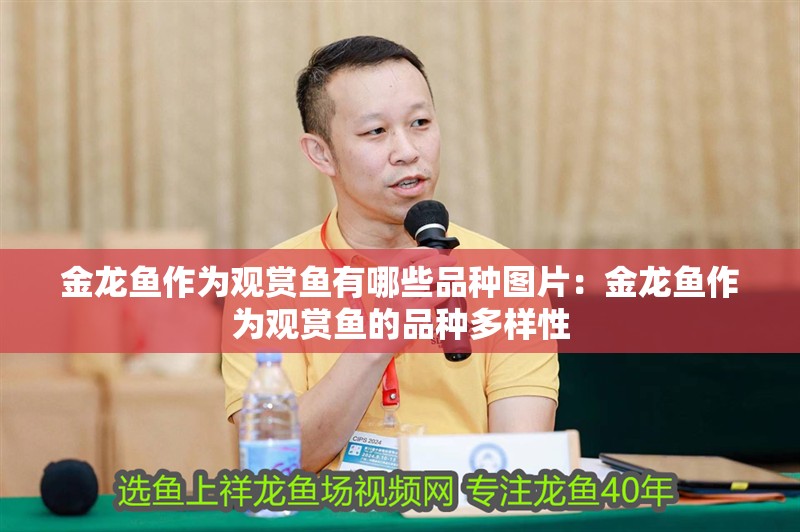 金龍魚作為觀賞魚有哪些品種圖片：金龍魚作為觀賞魚的品種多樣性