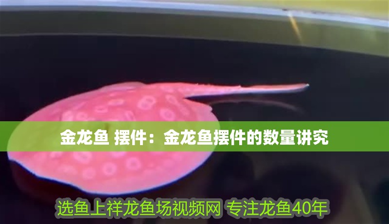 金龍魚 擺件：金龍魚擺件的數量講究