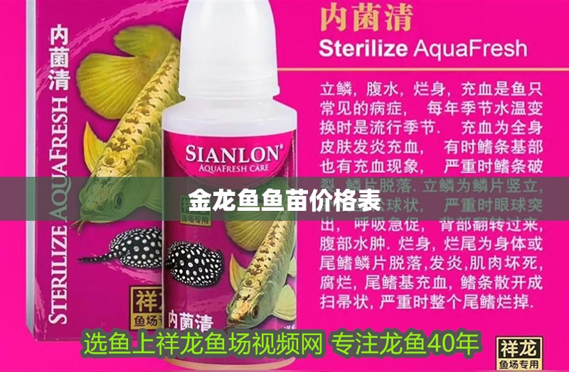 金龍魚魚苗價格表