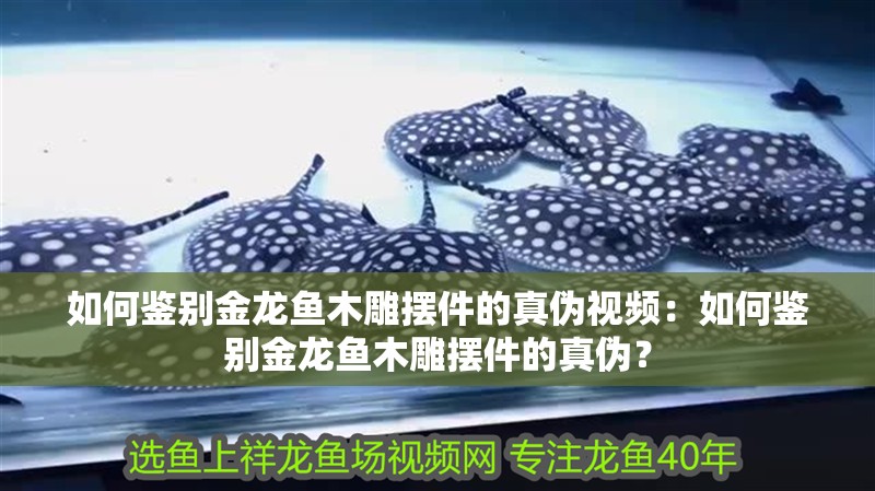 如何鑒別金龍魚木雕擺件的真偽視頻：如何鑒別金龍魚木雕擺件的真偽？