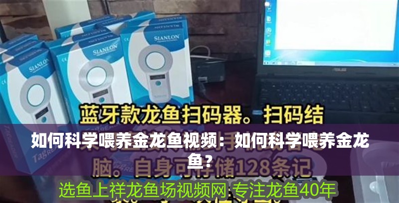 如何科學喂養金龍魚視頻：如何科學喂養金龍魚？