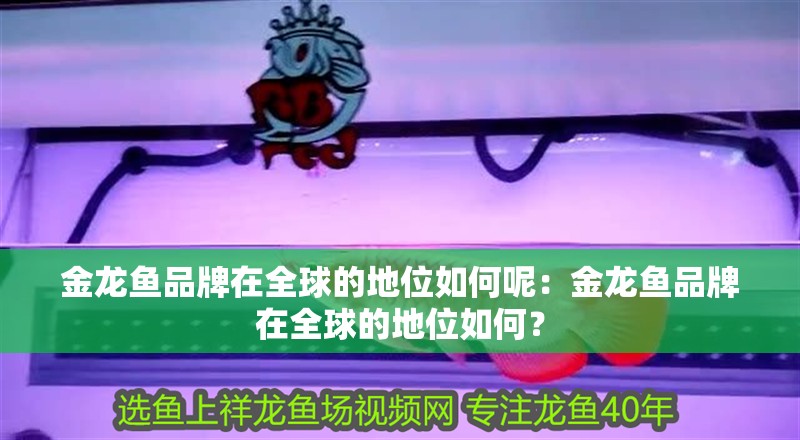 金龍魚品牌在全球的地位如何呢：金龍魚品牌在全球的地位如何？