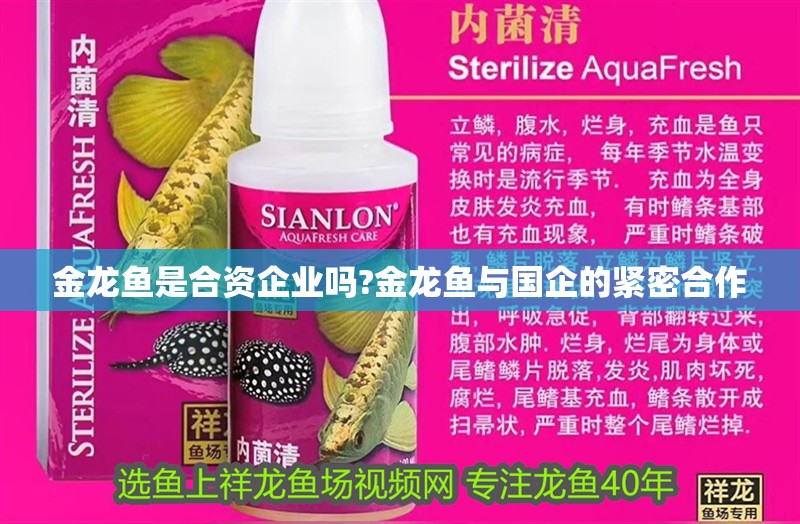金龍魚是合資企業嗎?金龍魚與國企的緊密合作