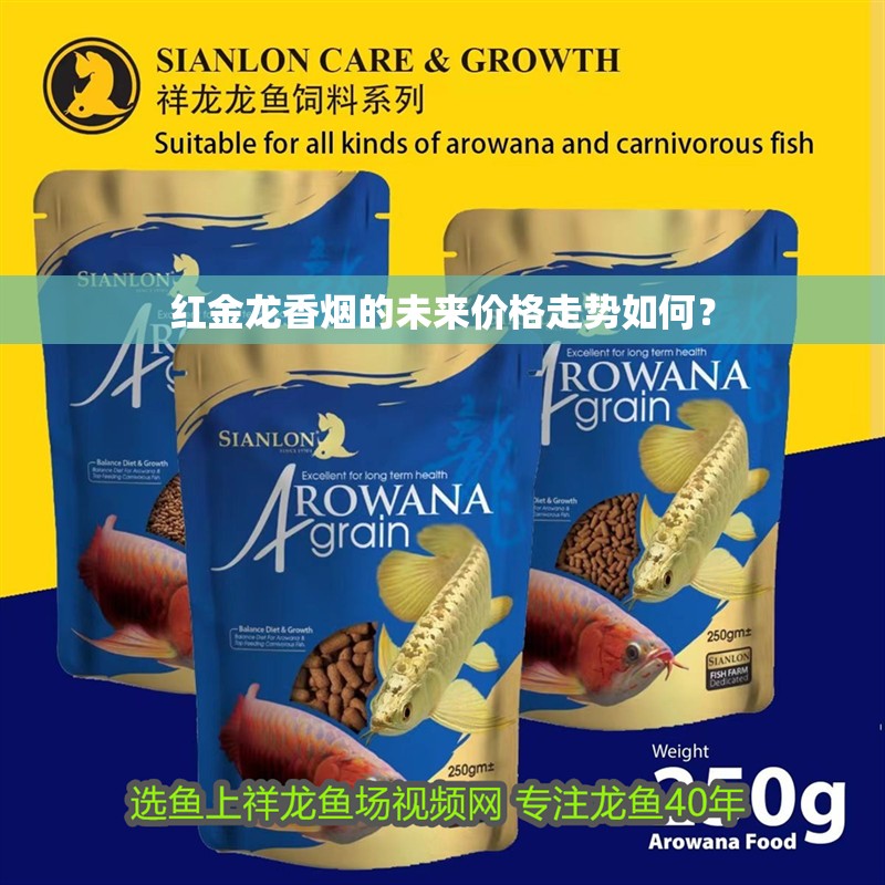 紅金龍香煙的未來價格走勢如何？