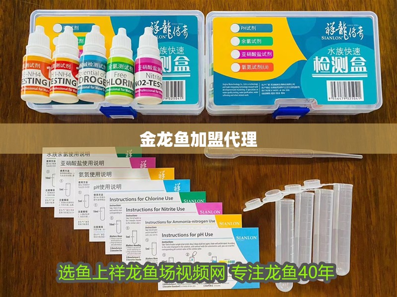 金龍魚加盟代理