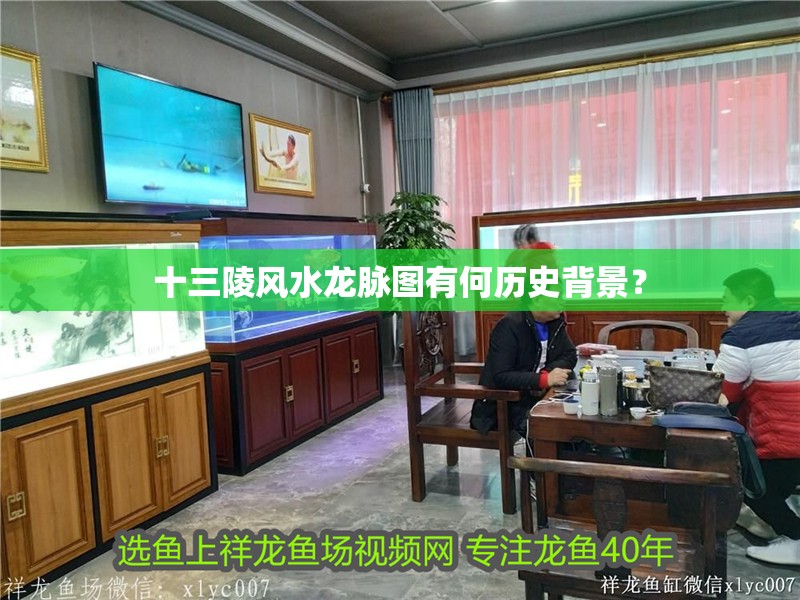 十三陵風水龍脈圖有何歷史背景？