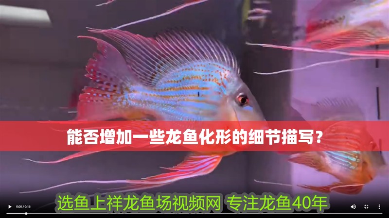 能否增加一些龍魚化形的細節描寫？