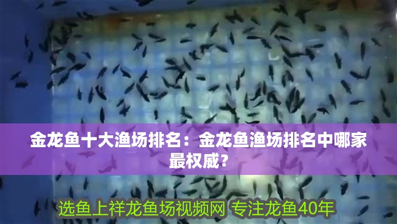 金龍魚十大漁場排名：金龍魚漁場排名中哪家最權威？