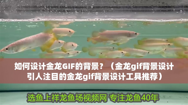 如何設計金龍GIF的背景？（金龍gif背景設計引人注目的金龍gif背景設計工具推薦）