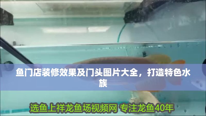 魚門店裝修效果及門頭圖片大全,打造特色水族 全國水族館企業名錄 第1張 魚門店裝修效果及門頭圖片大全,打造特色水族 魚門店裝修效果及門頭圖片大全,打造特色水族 全國水族館企業名錄 第1張