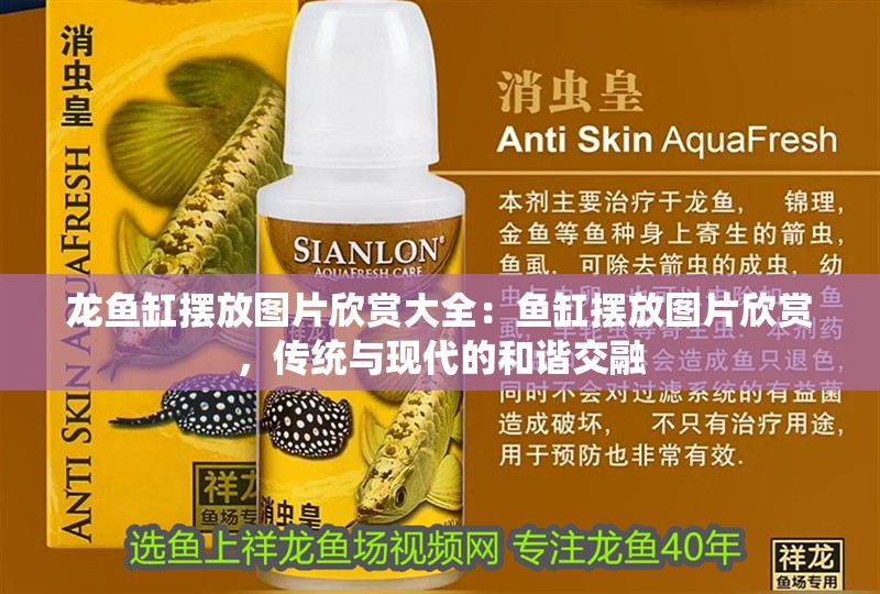 龍魚缸擺放圖片欣賞大全：魚缸擺放圖片欣賞，傳統(tǒng)與現(xiàn)代的和諧交融