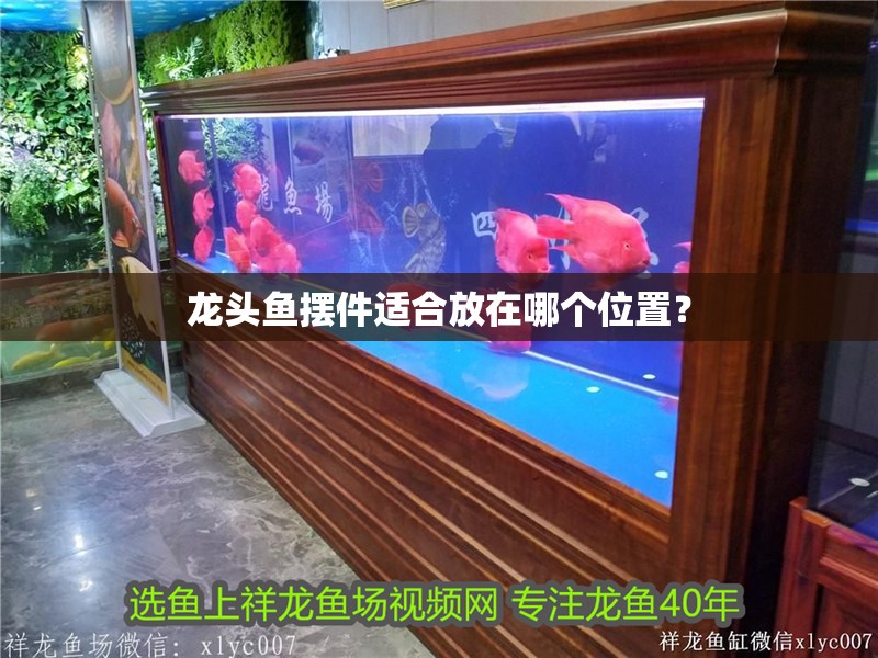龍頭魚擺件適合放在哪個位置？