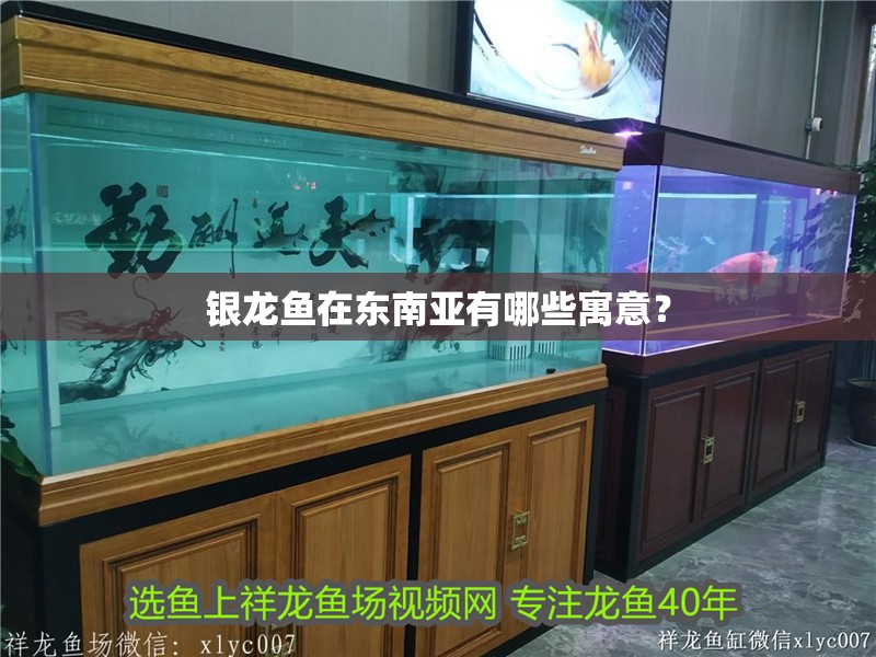 銀龍魚在東南亞有哪些寓意？