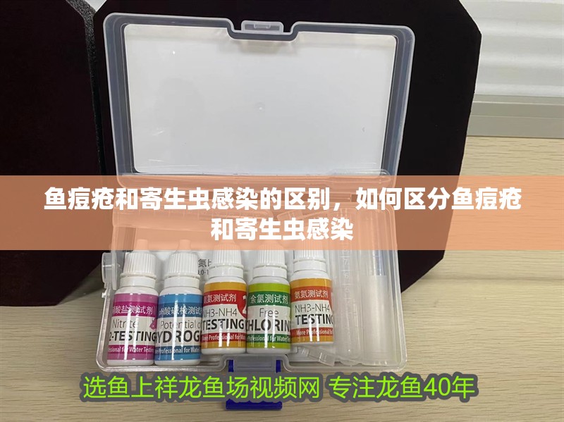 魚痘瘡和寄生蟲感染的區別，如何區分魚痘瘡和寄生蟲感染