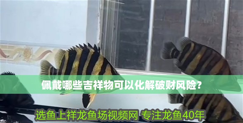 佩戴哪些吉祥物可以化解破財風(fēng)險？