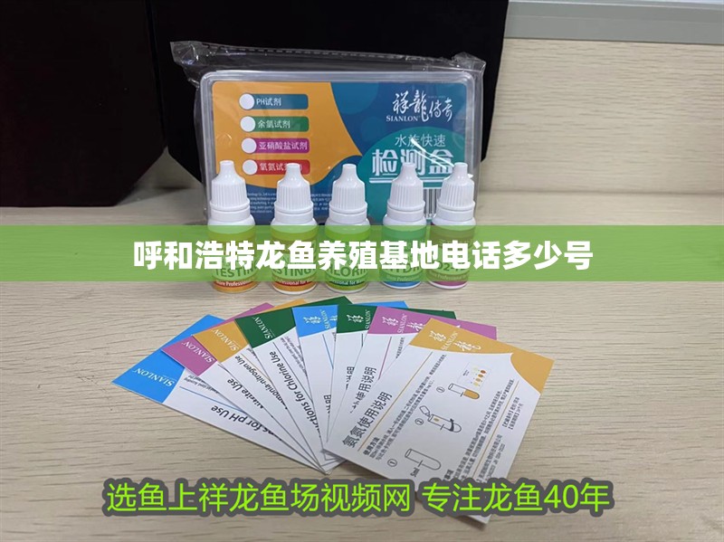 呼和浩特龍魚養(yǎng)殖基地電話多少號