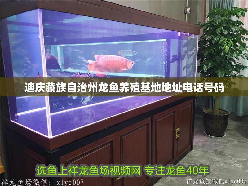 迪慶藏族自治州龍魚養殖基地地址電話號碼